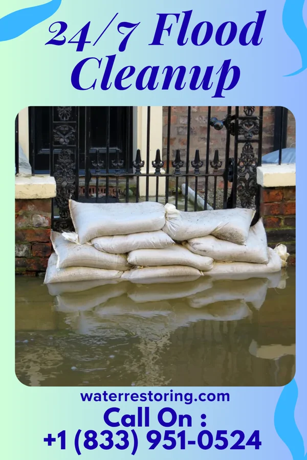 24/7 Flood Cleanup in New Vienna, IA