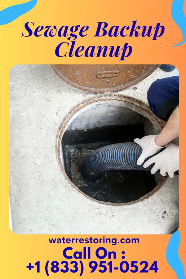 Sewage Backup Cleanup in New Vienna, IA