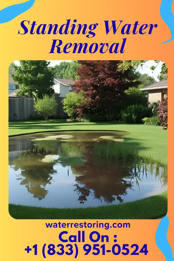 Standing Water Removal in New Vienna, IA